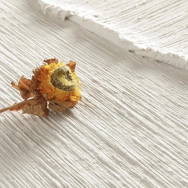 White Minimalist Textured Canvas #MT081